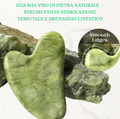 Gua sha viso